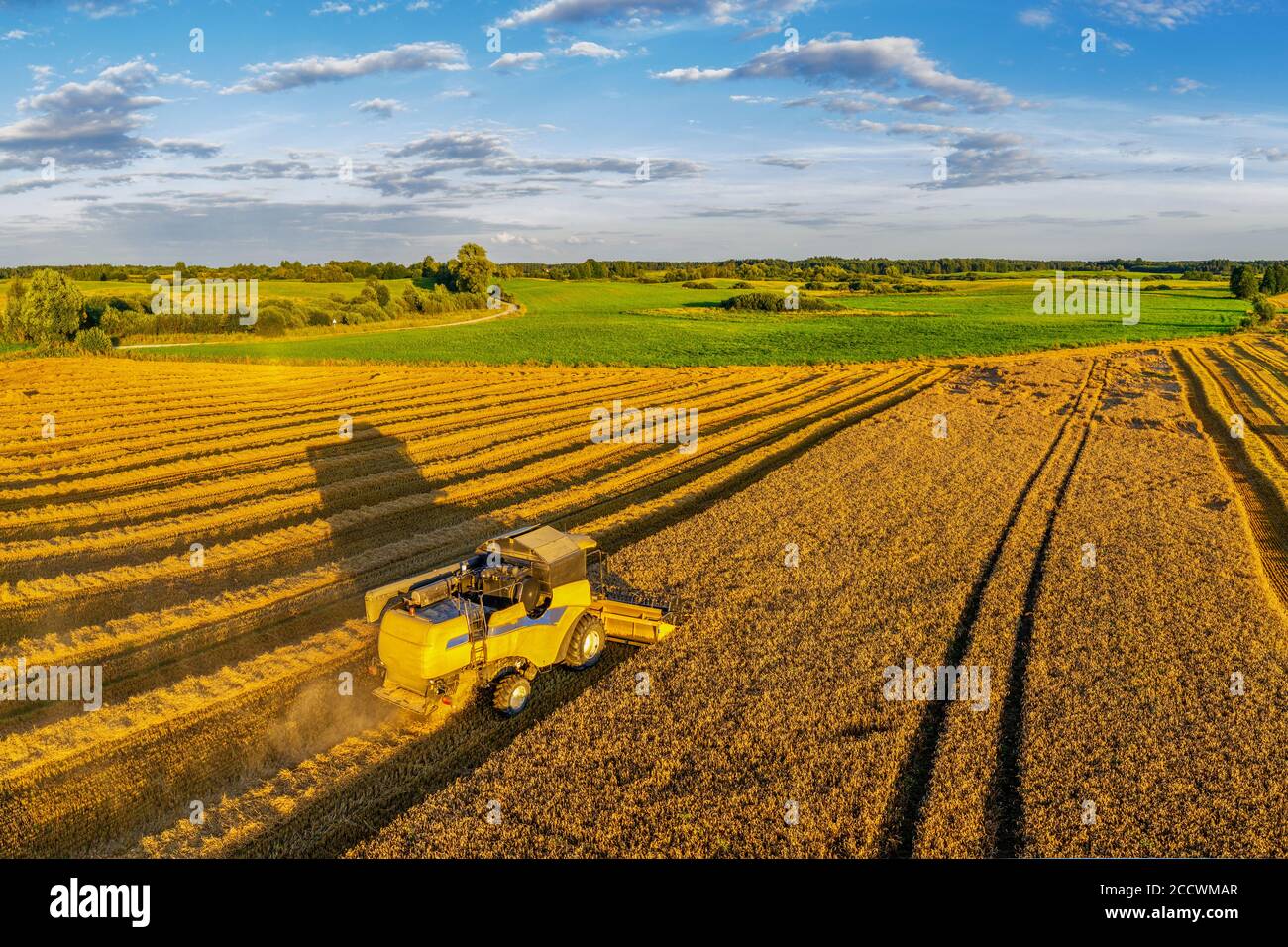 Ernte in Warmia im Nordosten Polens Stockfoto