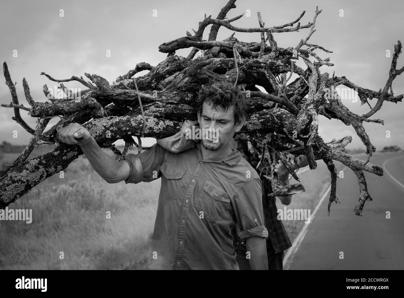 Holzfäller sammelt Baumzweige für ökologische und nachhaltige häusliche Nutzung Stockfoto