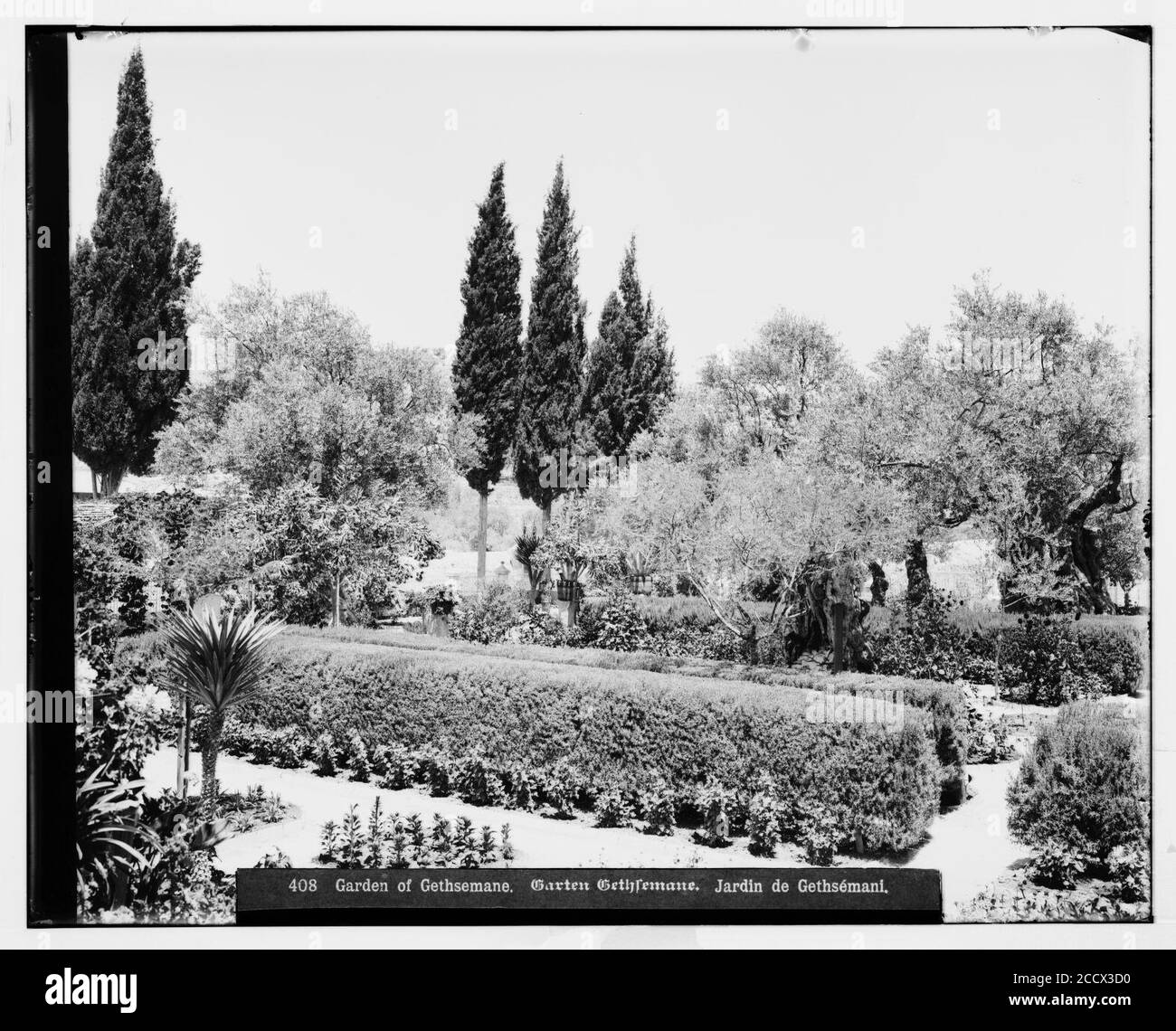 Jerusalem (El-Kouds). Garten Gethsemane, Anbauteile innen Stockfoto