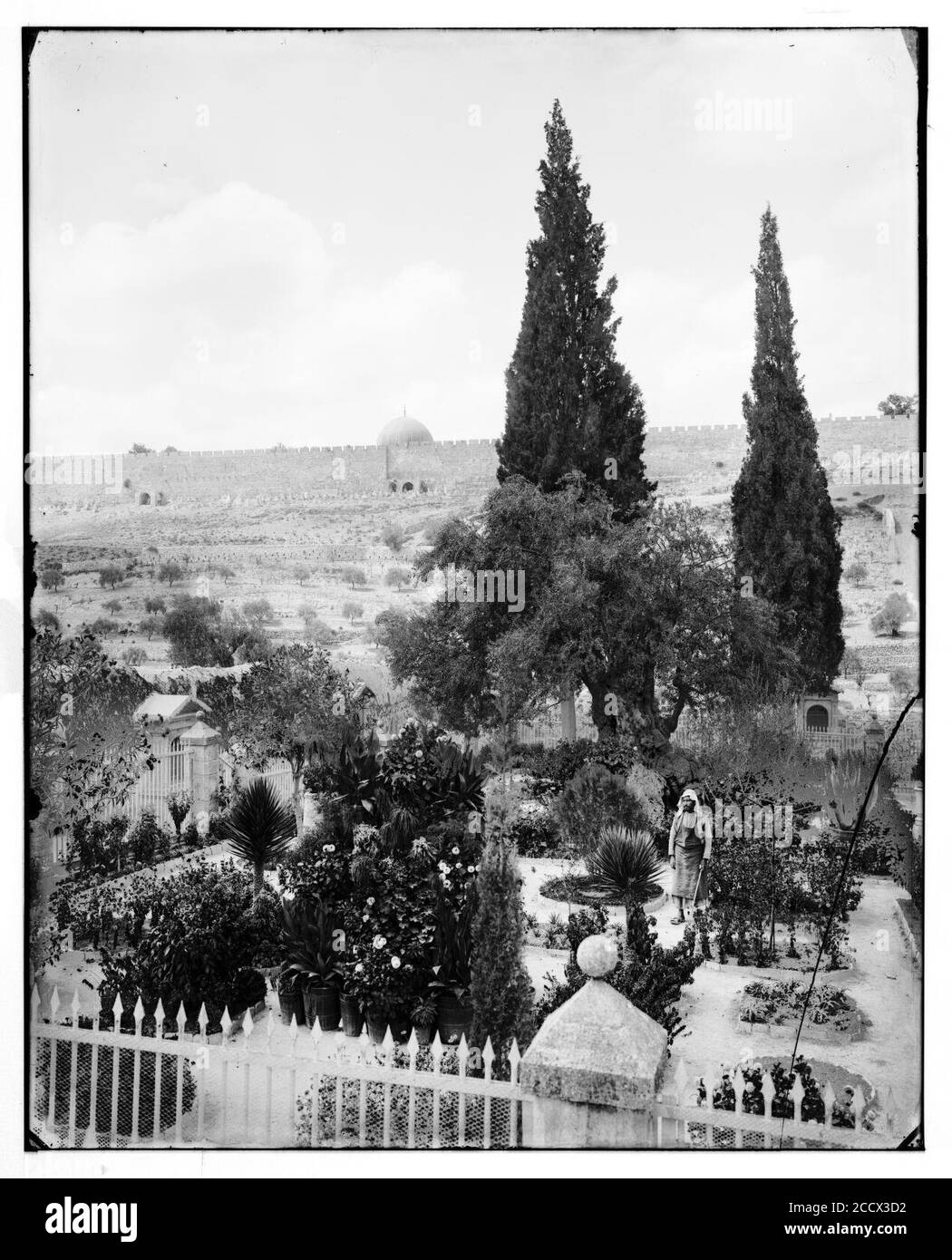Jerusalem (El-Kouds). Garten Gethsemane, Anbauteile innen Stockfoto