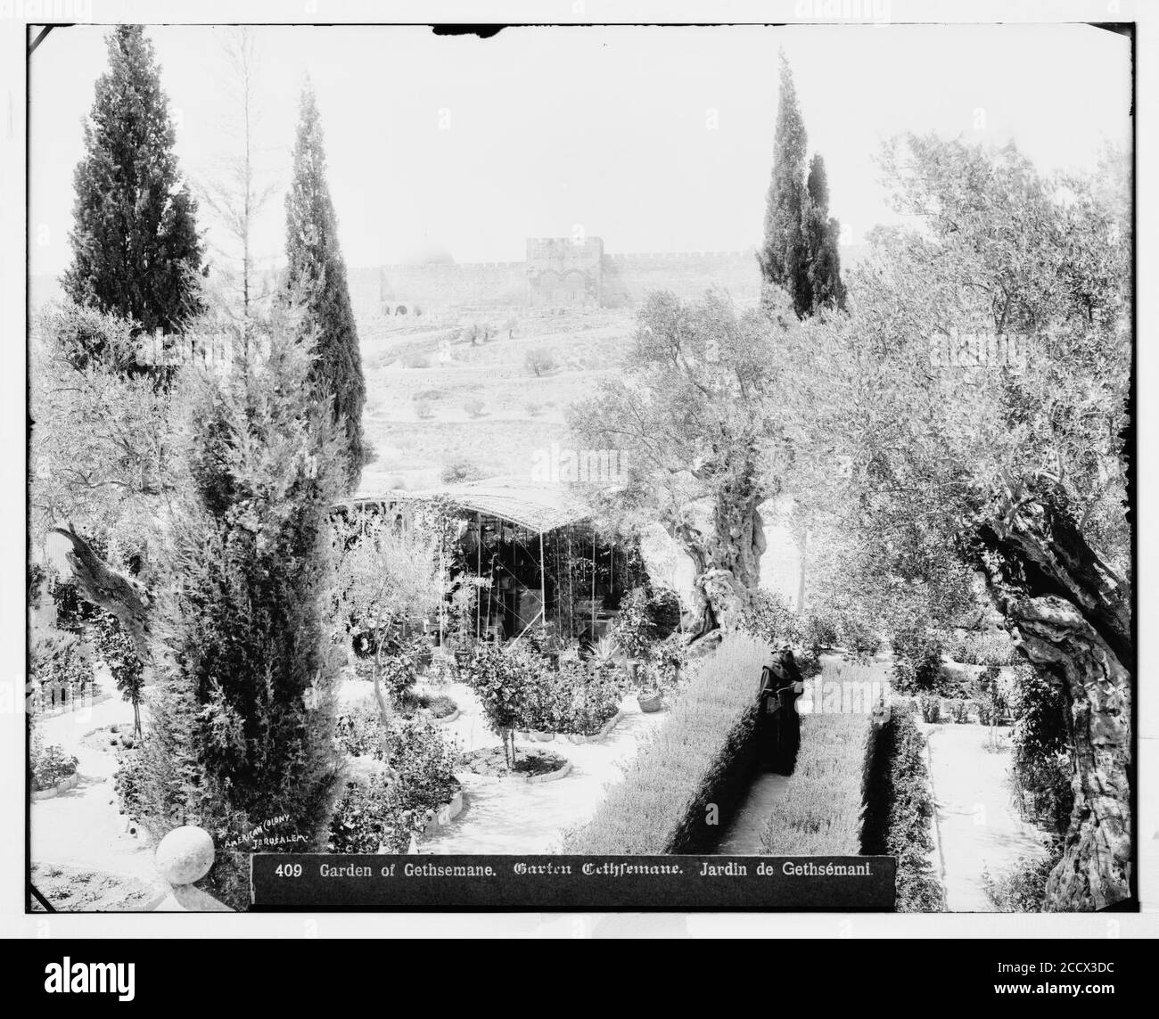 Jerusalem (El-Kouds). Garten Gethsemane, Anbauteile innen Stockfoto