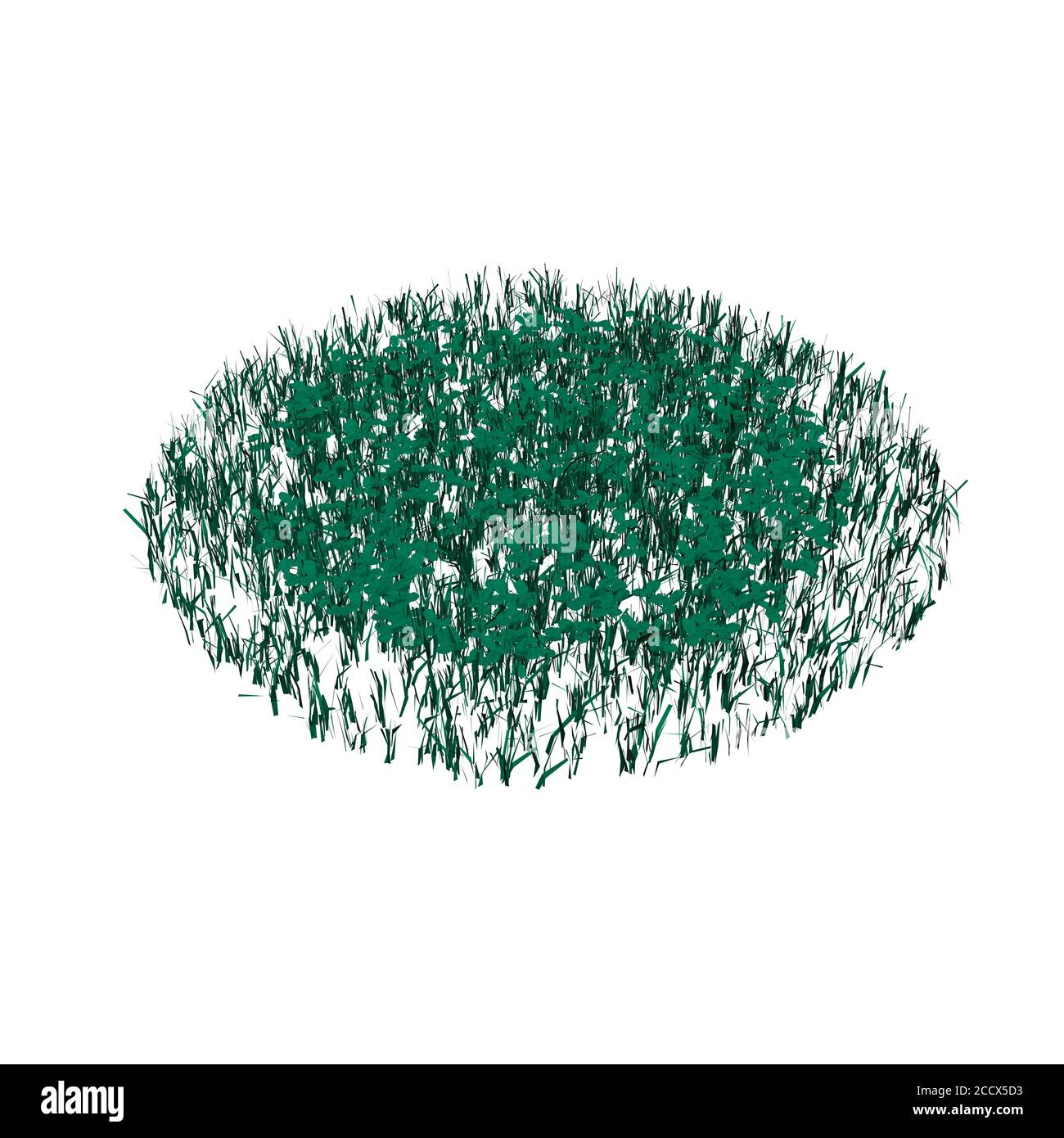 Grünes Gras isoliert auf weißem Hintergrund. Kreis von grünem Gras. Isometrische Ansicht. Vektorgrafik Stock Vektor