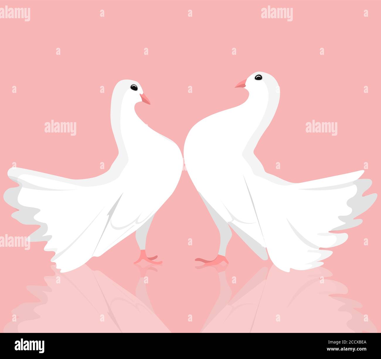 Tauben Stockfotos und bilder Kaufen Alamy