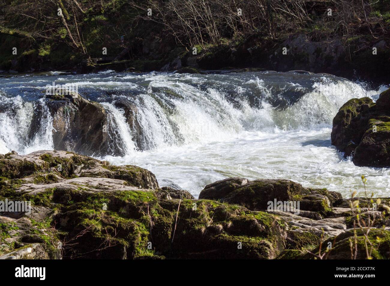 Stromschnellen und Wasser fällt auf einen sich schnell bewegenden Fluss Stockfoto