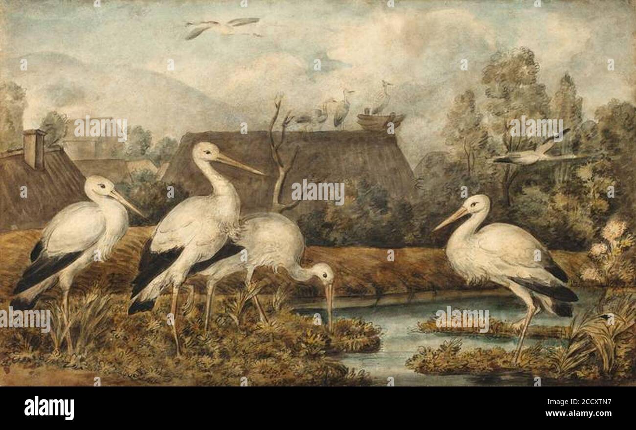 Johann Heinrich Wilhelm Tischbein Störche. Stockfoto