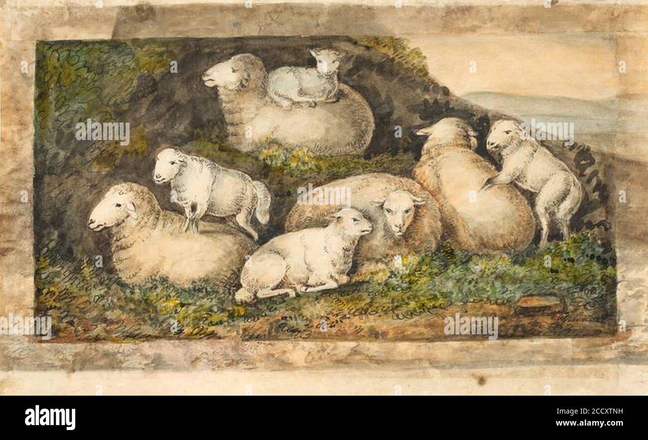 Johann Heinrich Wilhelm Tischbein Schafe. Stockfoto