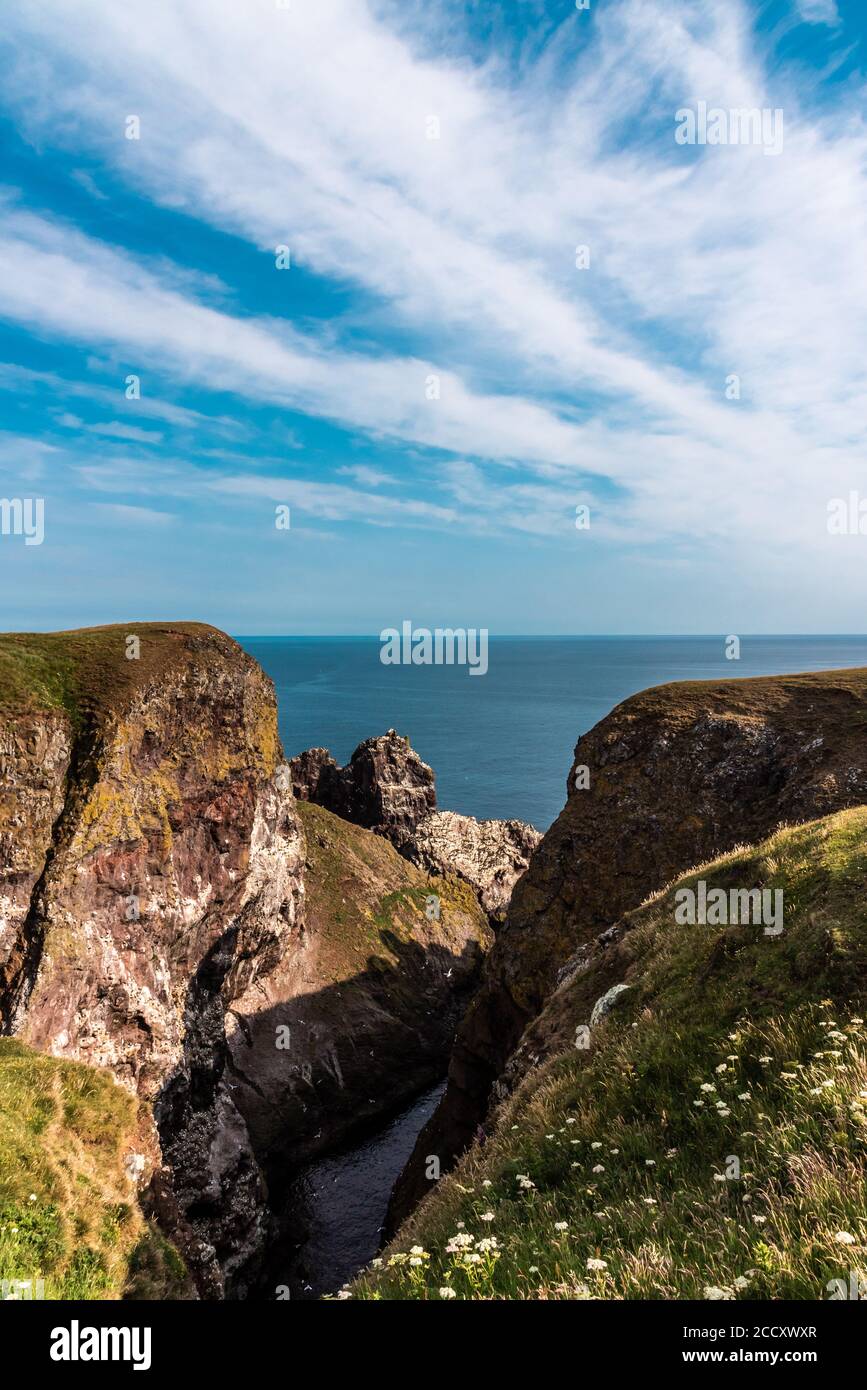 St. Abbs Küstenweg, Schottland Stockfoto