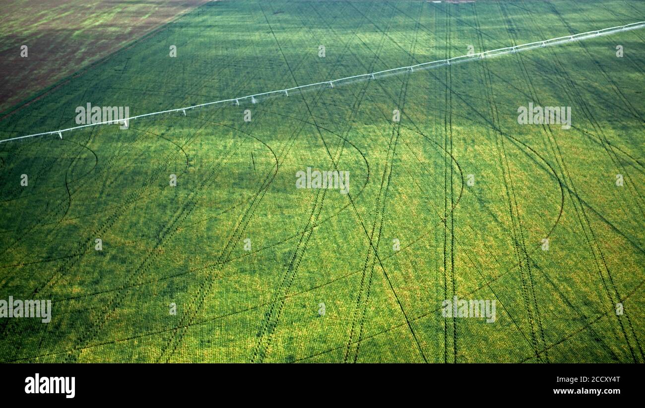 Bewässerte Plantagen im westlichen Teil des Staates Bahia, Brasilien Stockfoto