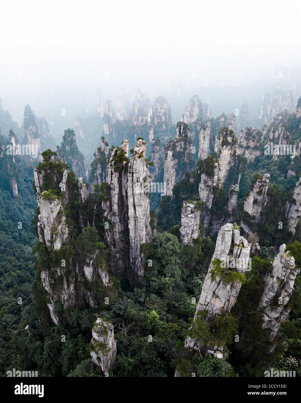 Avatar Mountains, Zhangjiajie Nationalpark, China Stockfoto