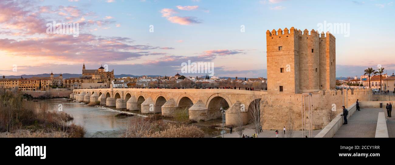 Sonnenuntergang, Puente Romano mit Festungsturm Torre de la Calahorra, römische Brücke über Rio Guadalquivir, hinten Mezquita, Catedral de Cordoba Stockfoto