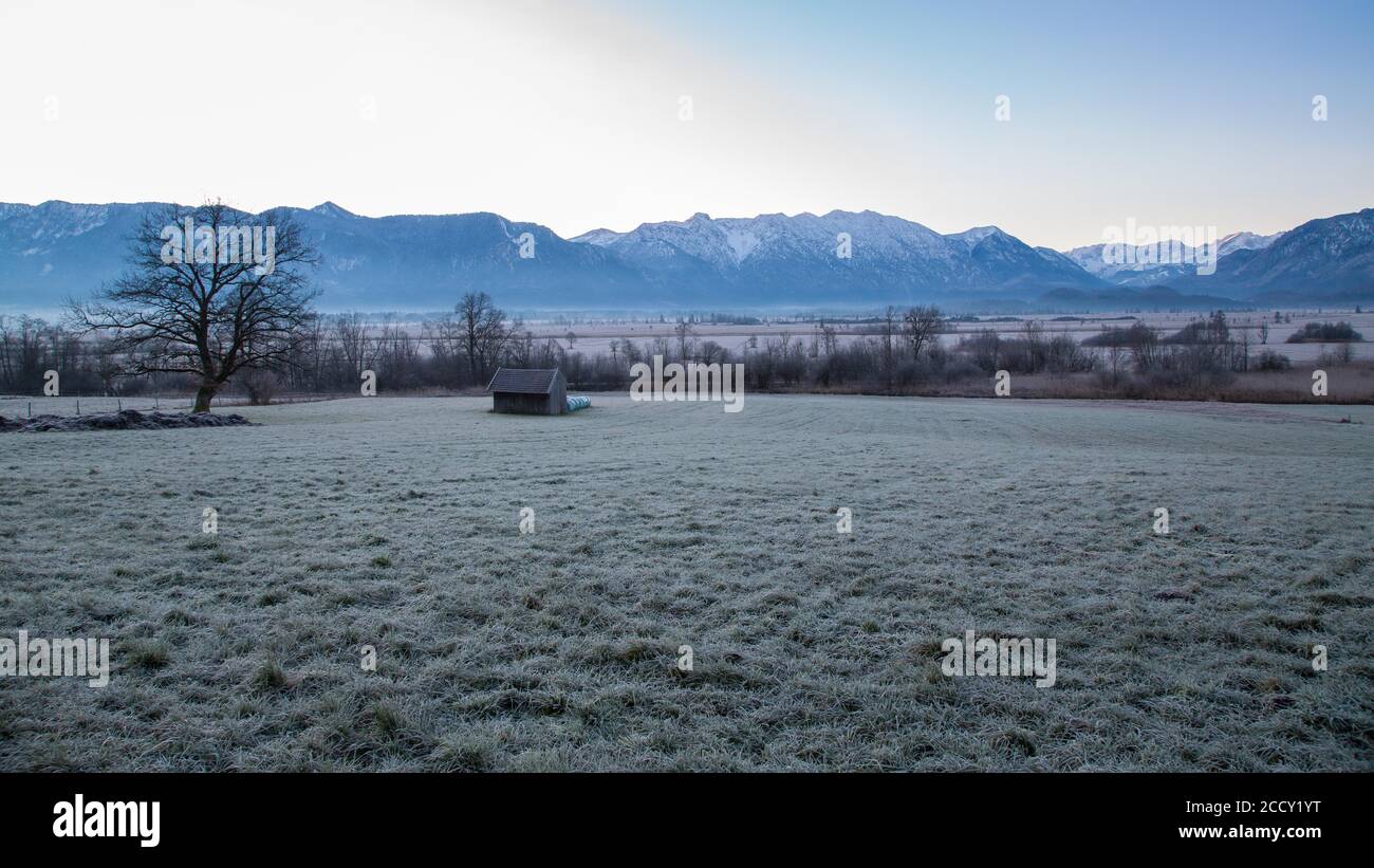 Blick über Murnauer Moos im Winter, hinter Wettersteingebirge mit Zugspitze, Murnau am Staffelsee, Bayern, Deutschland Stockfoto