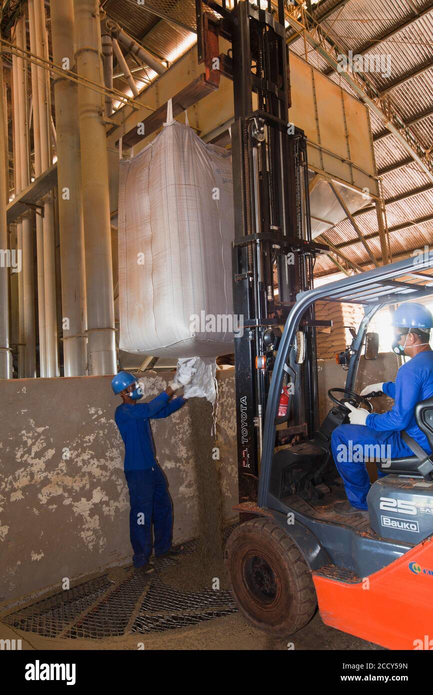 Arbeiter entlässt anderthalb Tonnen Kaffee Sack in Granary bei Luis Eduardo Magalhaes, Bahia, Brasilien Stockfoto