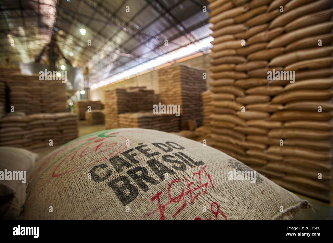 Kaffeesäcke bereit für den Export in der Kaffeeplantage Verarbeitungsanlage in Carmo de Minas, Minas Gerais, Brasilien Stockfoto