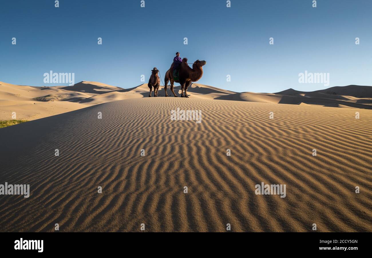 Sandmuster in Khongor Sanddünen. Provinz Umnugobi, Mongolei Stockfoto