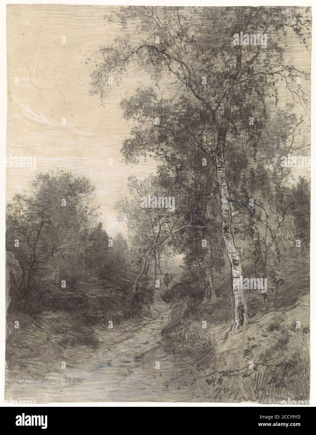 Johannes Warnardus Bilder Bosgezicht - Blick in den Wald, 1882; Kreide auf Papier, Zeichnung. Stockfoto