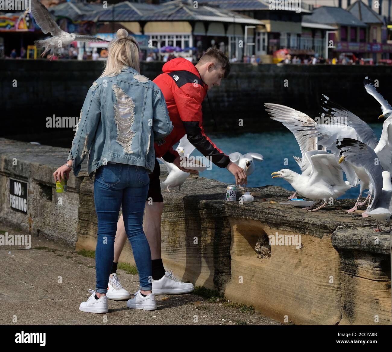 Pärchen, die von Möwen am Meer umgebracht werden. Stockfoto