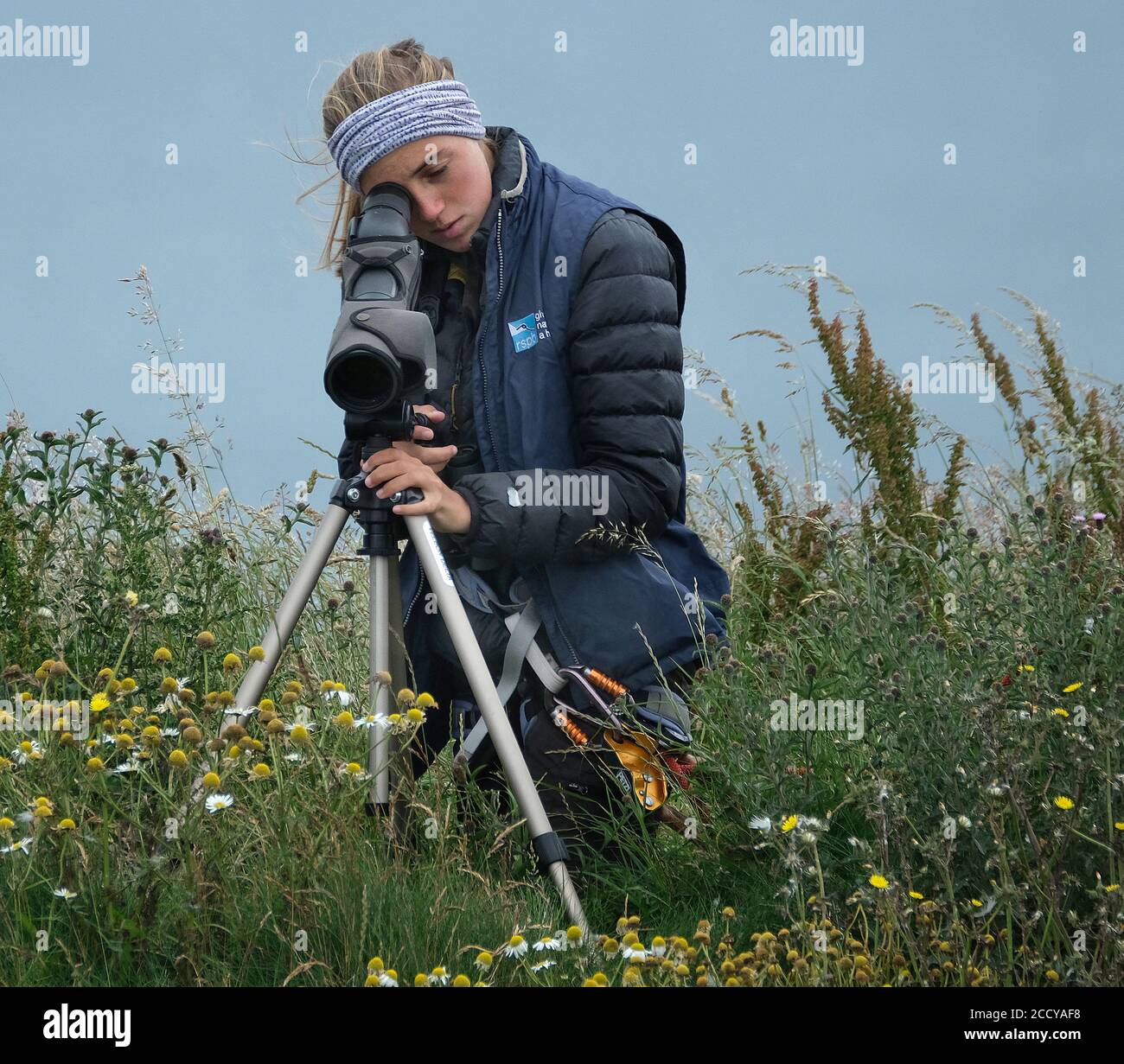 Junge Dame Beobachter Zählen und Katalogisierung Vögel an der Ostküste von Großbritannien. Stockfoto