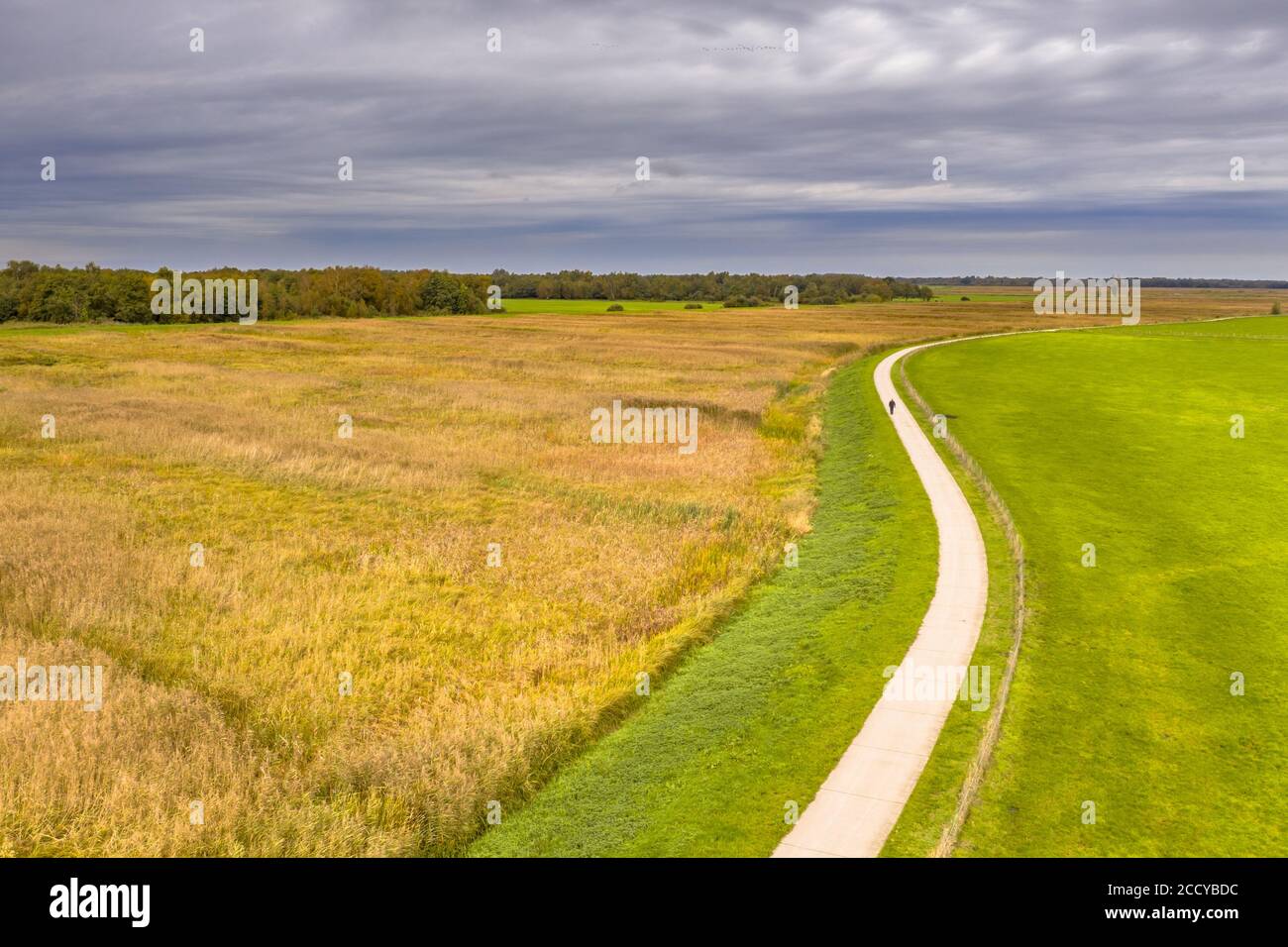 Luftaufnahme der Radstrecke über einen Deich im Nationalpark Wieden Weerribben, Wetering, Overijssel, Niederlande. Stockfoto