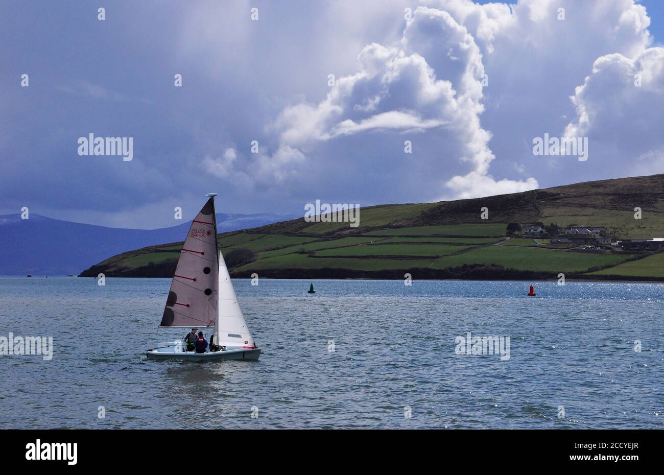 Eine schmuddelige Segeln in Dingle Bucht mit bedrohlichen Wolken an einem Frühlingstag.Dingle Halbinsel, Grafschaft Kerry, Irland. Stockfoto