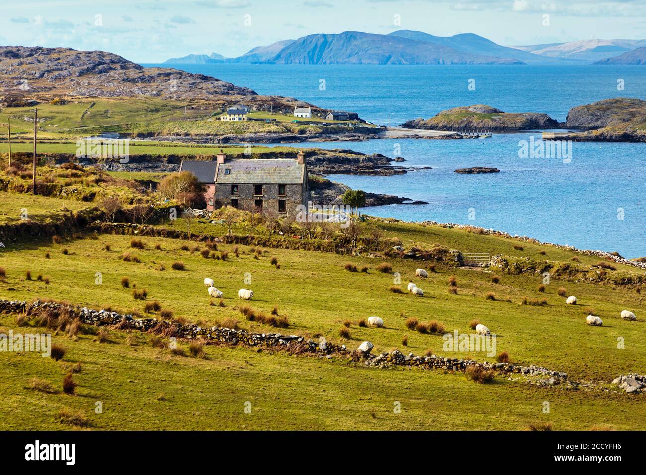 Typische Landschaft auf der Beare Halbinsel, dem Ring of Beare, Grafschaft Cork, West Cork, Republik Irland. Irland. Stockfoto