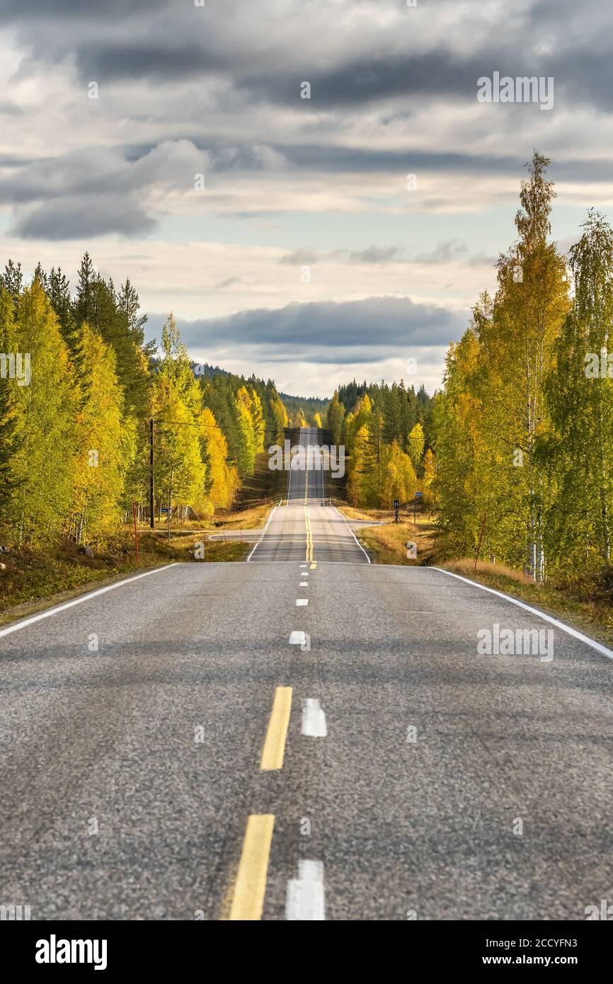 Autobahn in schönen Herbstwald im ländlichen Finnland Stockfoto