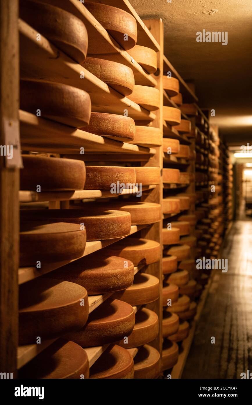 Gruyere Käse auf einem Regal in L'Etivaz, Schweiz Stockfoto