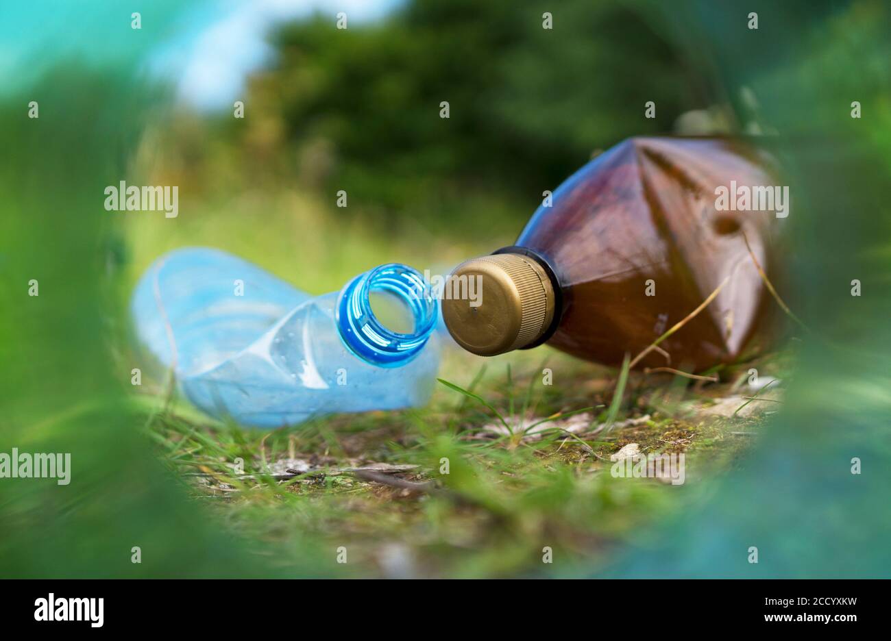Plastikflaschen im Wald. Konzept der Umweltverschmutzung. Stockfoto