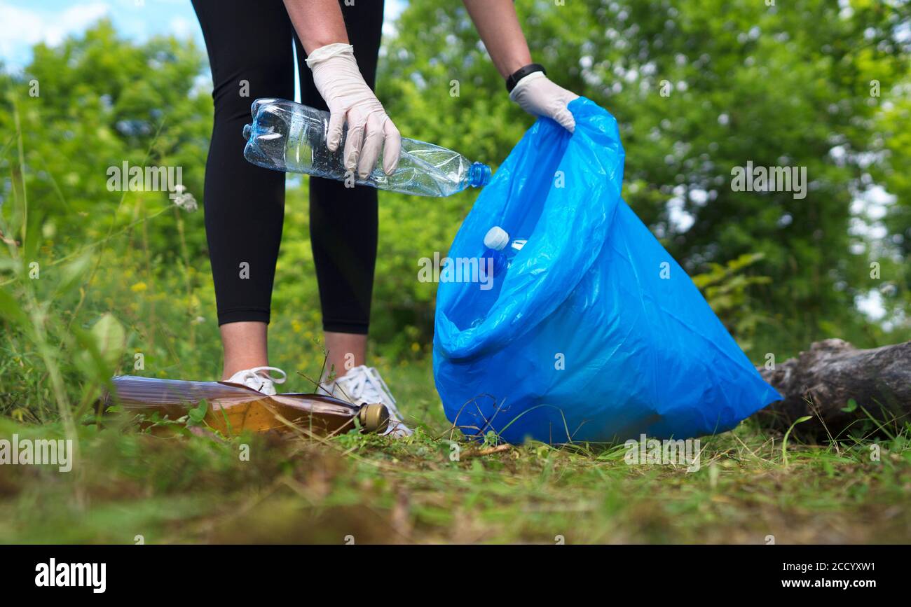 Freiwillige sammeln Flaschen im Wald. Konzept der Umweltverschmutzung. Stockfoto