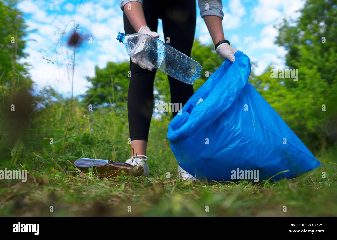 Freiwillige sammeln Flaschen im Wald. Konzept der Umweltverschmutzung. Stockfoto