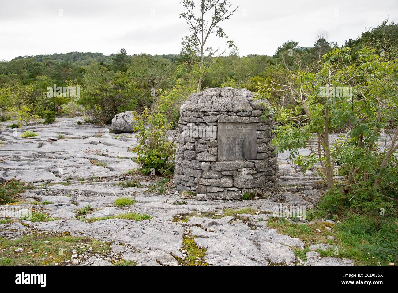 Blick auf Denkmal und Kalksteinpflaster im Gate Barrows National Nature Reserve, Silverdale, Carnforth, Lancashire, Großbritannien. Stockfoto