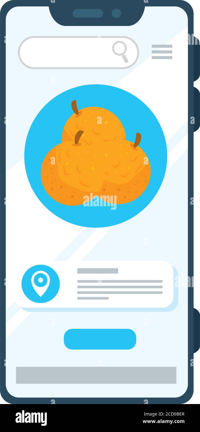 Online-Shopping Früchte von Orange, über eine App in einem Smartphone Stock Vektor