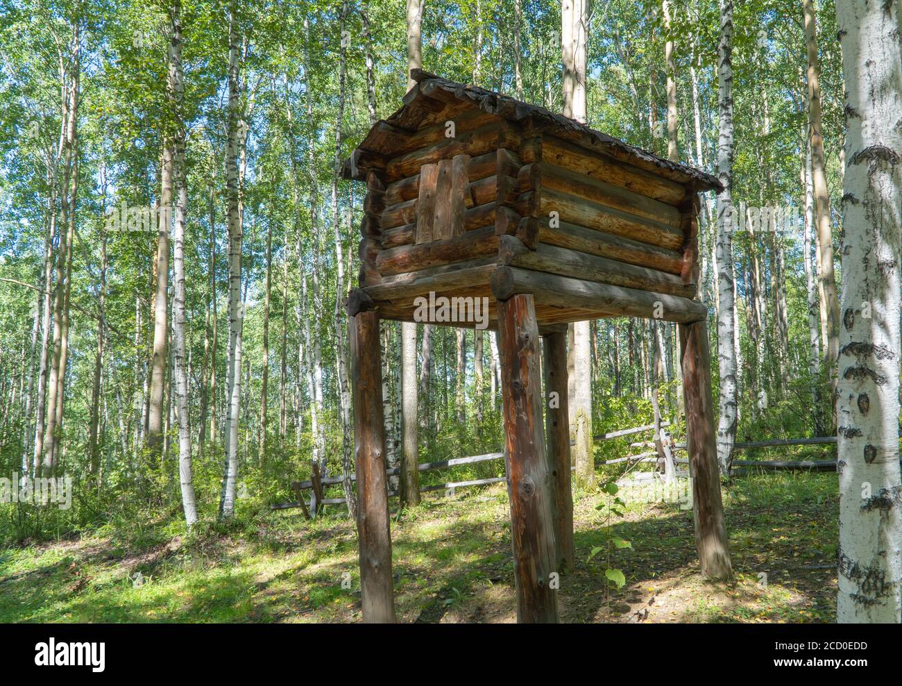 Holzhaus auf hohen Beinen in einem Birkenwald. Hütte auf Hühnerbeinen stehend. Hölzerne Haus Fee Großmutter Yaga. Stockfoto