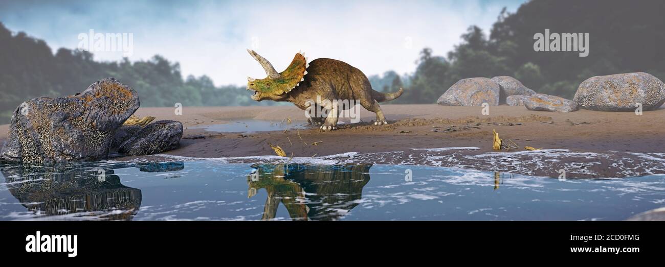 Triceratops horridus Dinosaurier in prähistorischen Landschaft Stockfoto