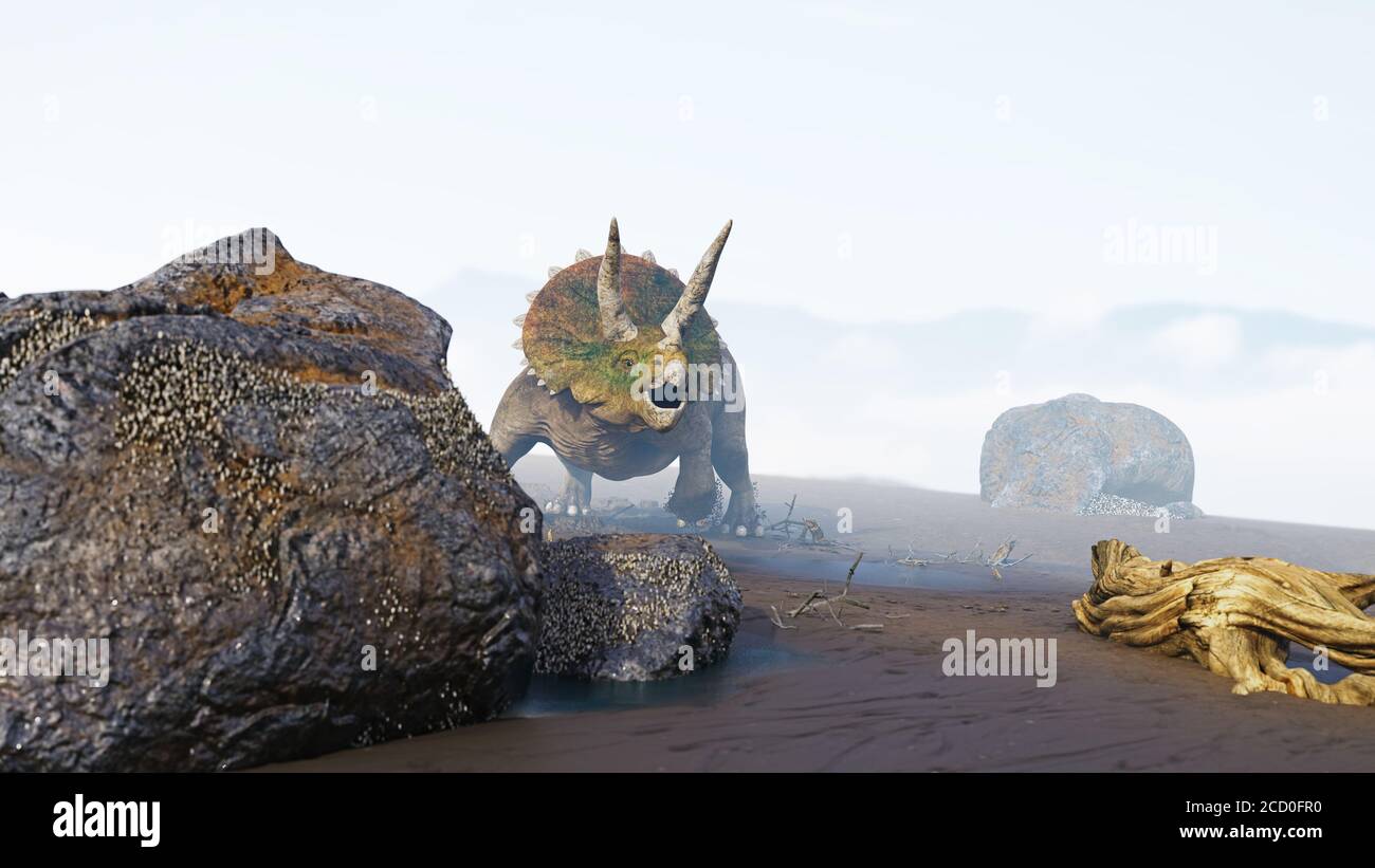 Triceratops horridus Dinosaurier in nebliger Landschaft Stockfoto
