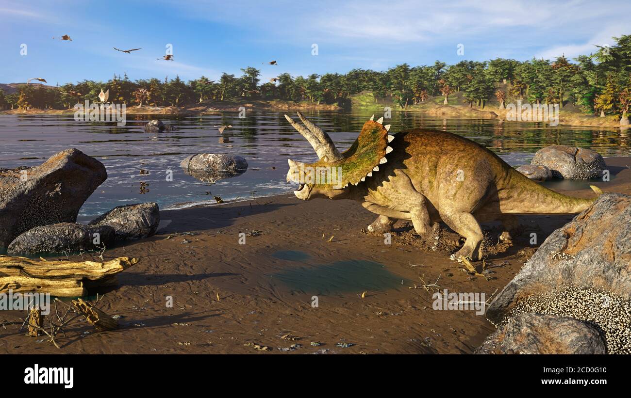 Triceratops horridus Dinosaurier am Meer Stockfoto