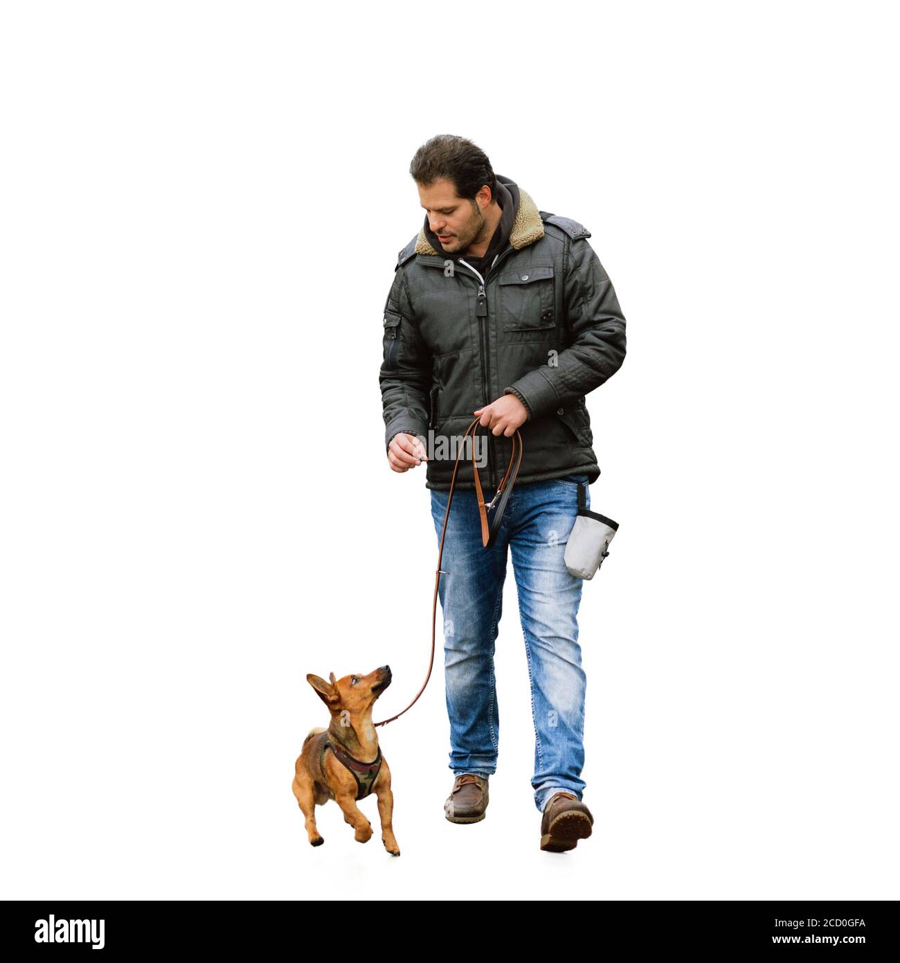 Ein Mann und sein kleiner Hund üben 'Walking to Heel' Isoliert auf weißem Hintergrund Stockfoto