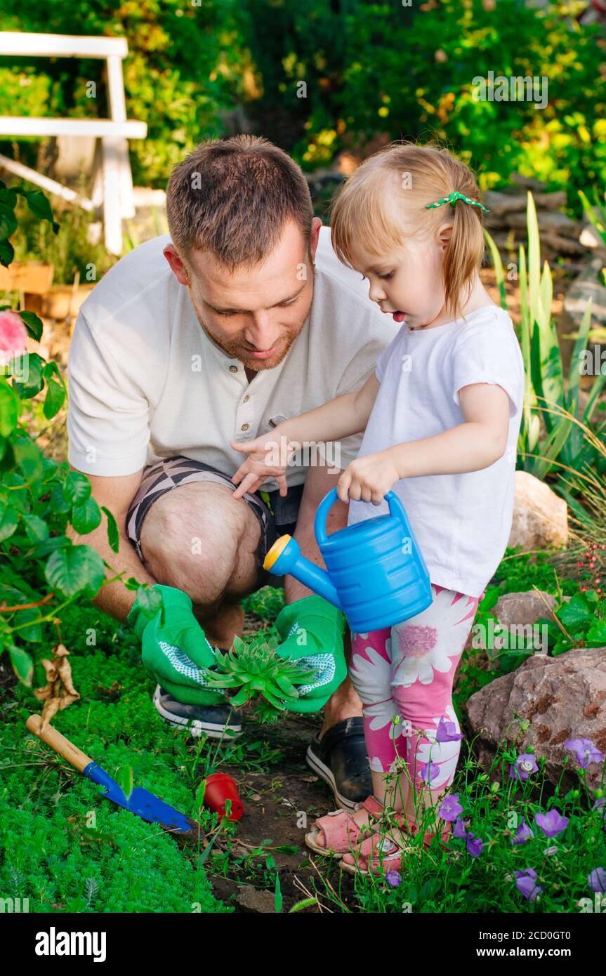 Familienkonzept für Outdoor-Aktivitäten. Kleines Mädchen mit ihrem Vater wässern saftige Pflanzung im Garten. Stockfoto