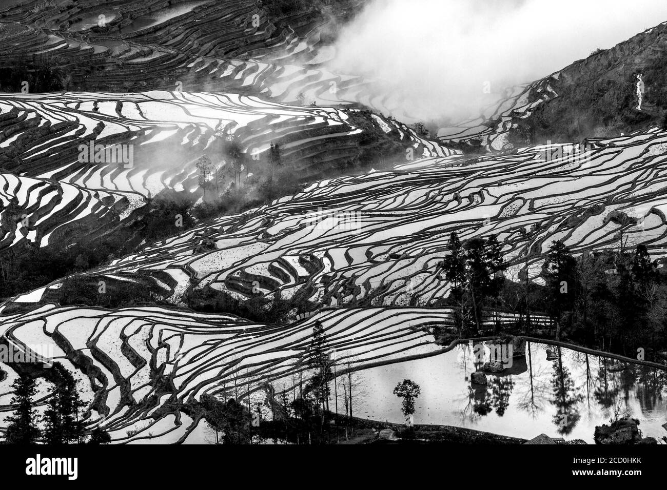 Sonnenaufgang über Reisterrassen von Yuanyang, im Süden der Provinz Yunnan, China. Im Winter, die Terrassen sind überschwemmt, die schöne Spiegelungen im Wasser. Stockfoto