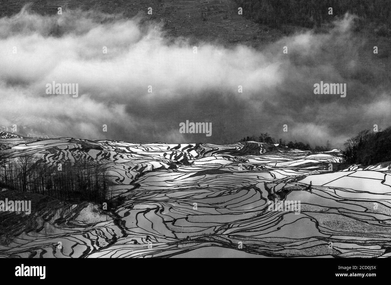 Sonnenaufgang über Reisterrassen von Yuanyang, im Süden der Provinz Yunnan, China. Im Winter, die Terrassen sind überschwemmt, die schöne Spiegelungen im Wasser. Stockfoto