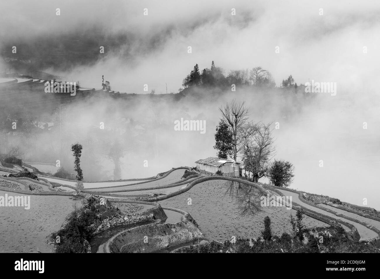 Sonnenaufgang und Nebel über Reisterrassen von Yuanyang, Provinz Yunnan, China. Im Winter sind die Terrassen überflutet, was schöne Reflexionen im Wasser gibt Stockfoto