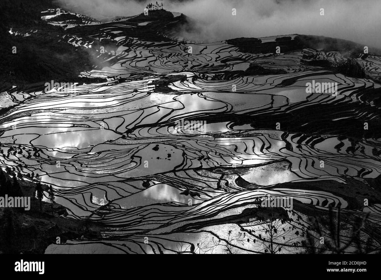 Sonnenaufgang über Reisterrassen von Yuanyang, im Süden der Provinz Yunnan, China. Im Winter, die Terrassen sind überschwemmt, die schöne Spiegelungen im Wasser. Stockfoto