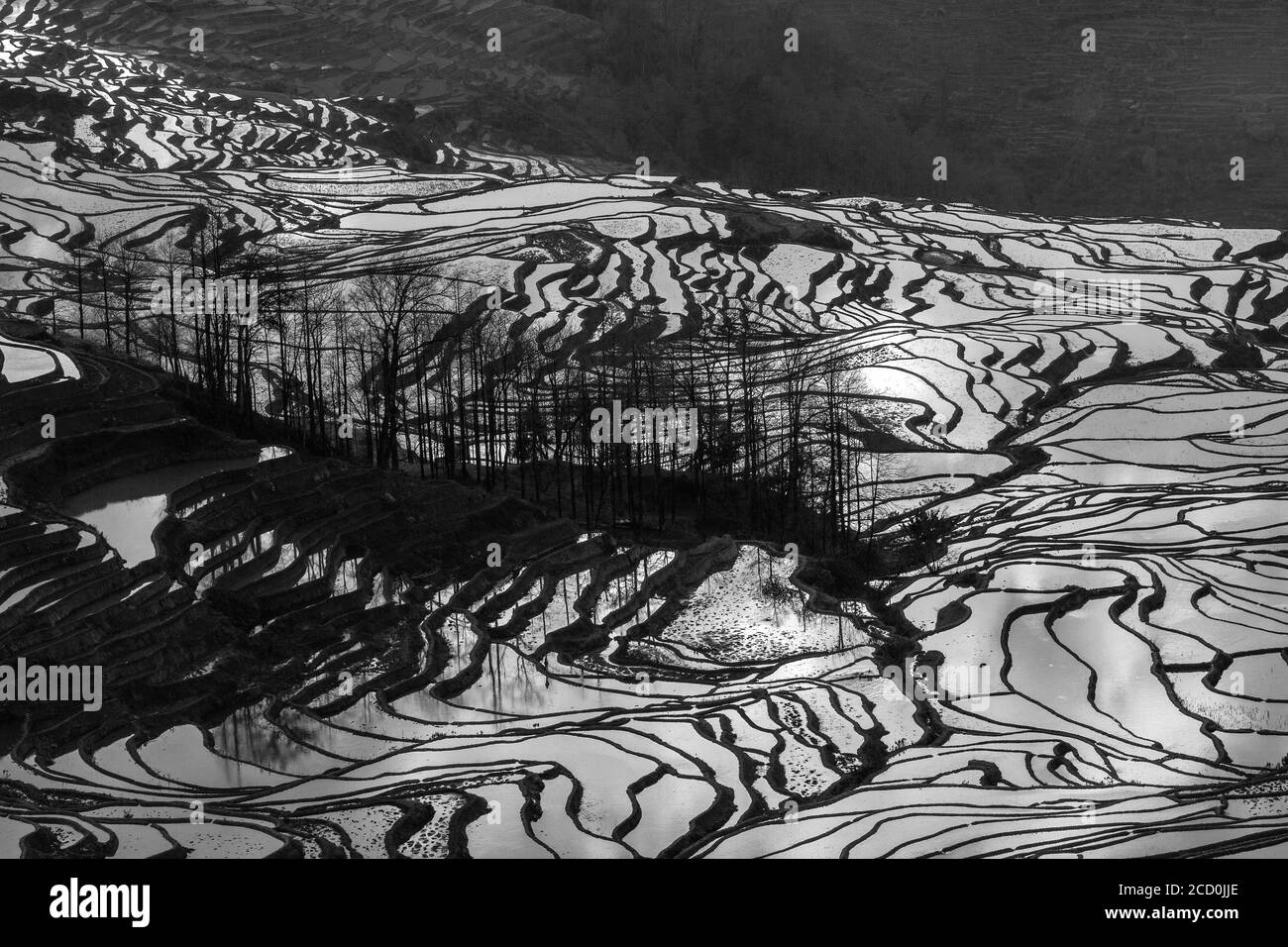 Sonnenaufgang über Reisterrassen von Yuanyang, im Süden der Provinz Yunnan, China. Im Winter, die Terrassen sind überschwemmt, die schöne Spiegelungen im Wasser. Stockfoto