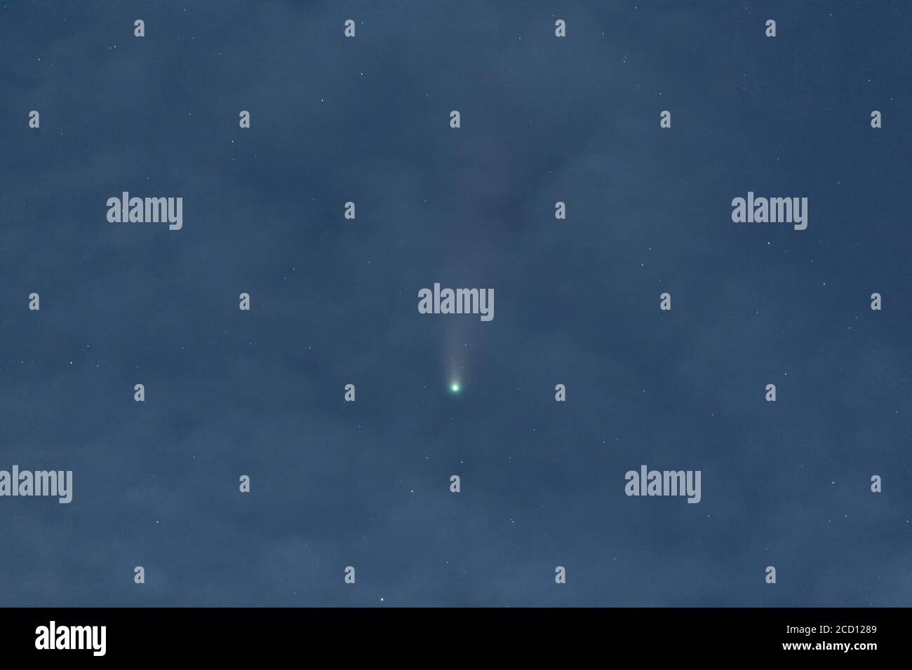 Comet C/2020 F3 NEOWISE in Vancouver british columbia, Kanada Stockfoto