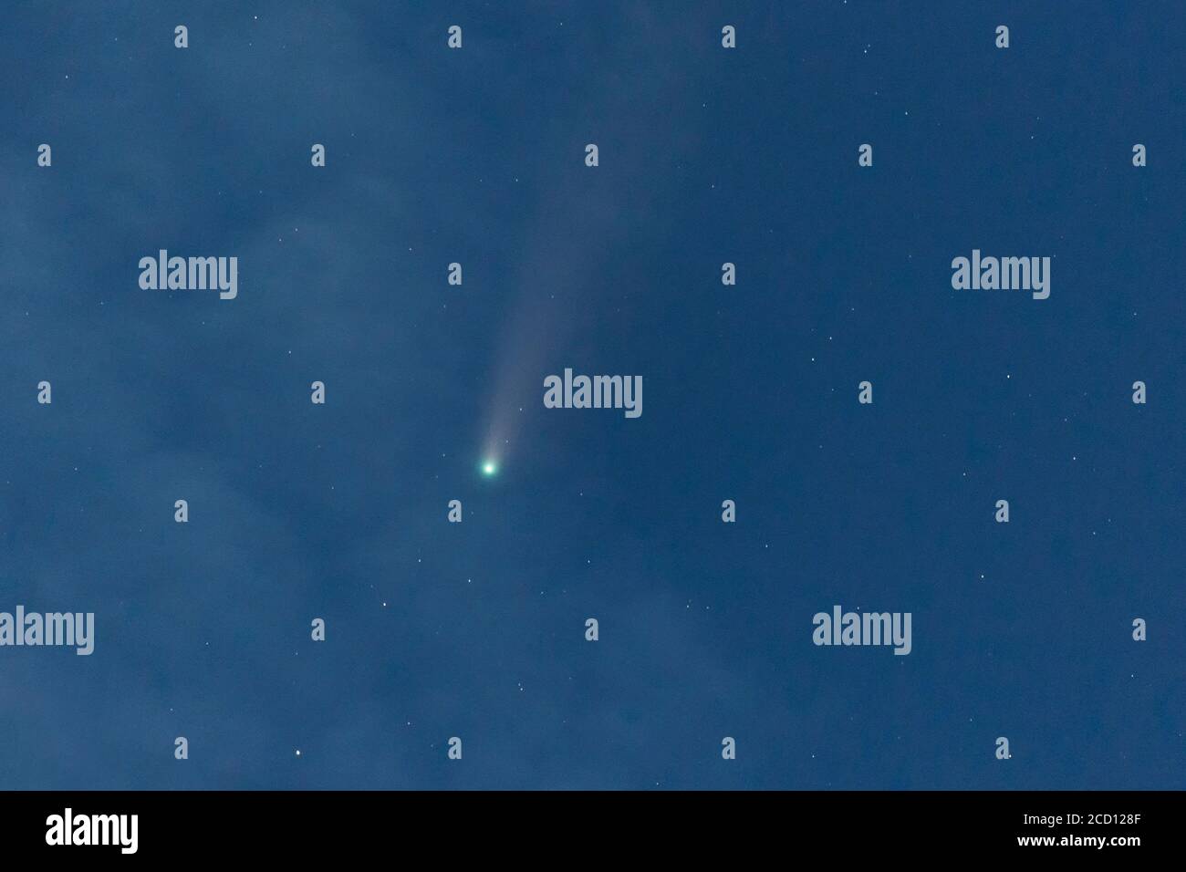 Comet C/2020 F3 NEOWISE in Vancouver british columbia, Kanada Stockfoto
