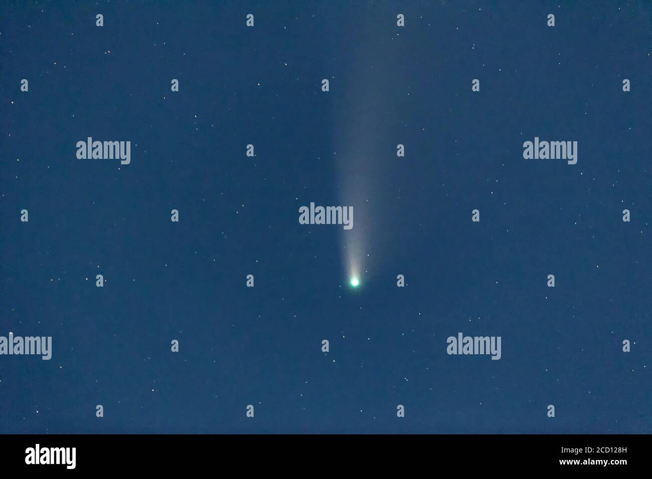 Comet C/2020 F3 NEOWISE in Vancouver british columbia, Kanada Stockfoto