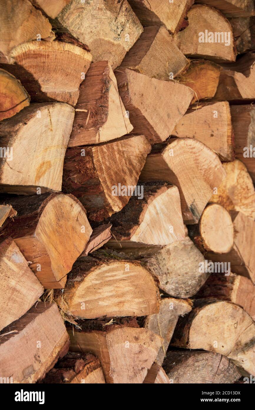 Stapel von gestapeltem Brennholz für die Winterheizung, Textur für den Hintergrund gespeichert Stockfoto