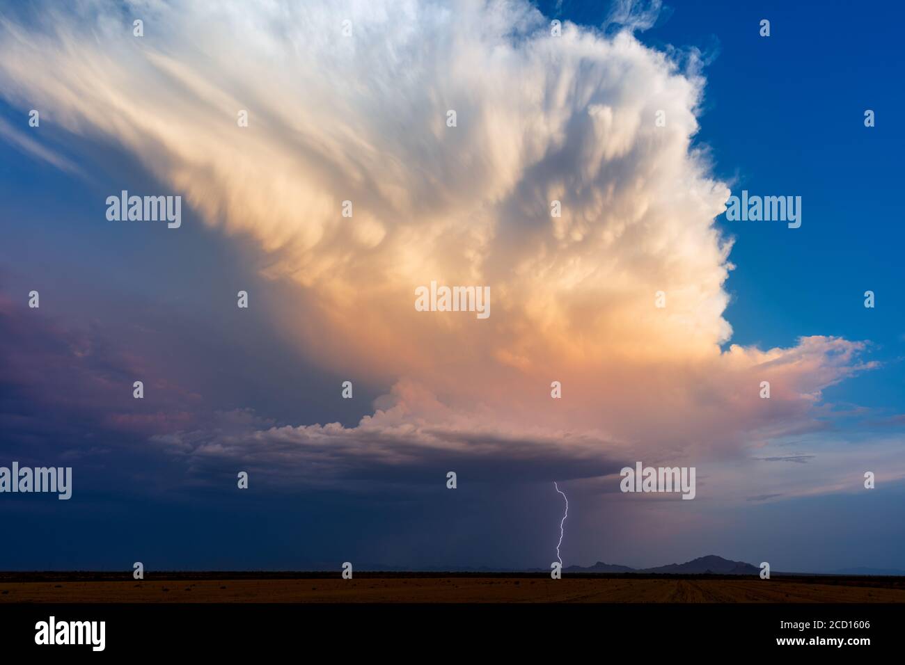 Gewitter Cumulonimbus Wolke mit Blitz und Sonnenuntergang Himmel Ironwood Forest National Monument, Arizona, USA Stockfoto