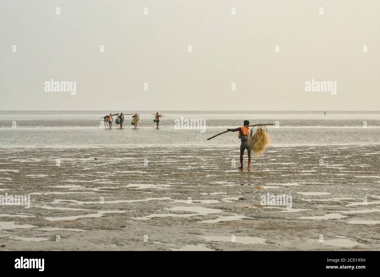 Fischer, die Fischernetze auf Pfosten über der Schulter tragen, die bei Ebbe auf dem Meer laufen; Chandipur, Baleswar District, Odisha State, Indien Stockfoto