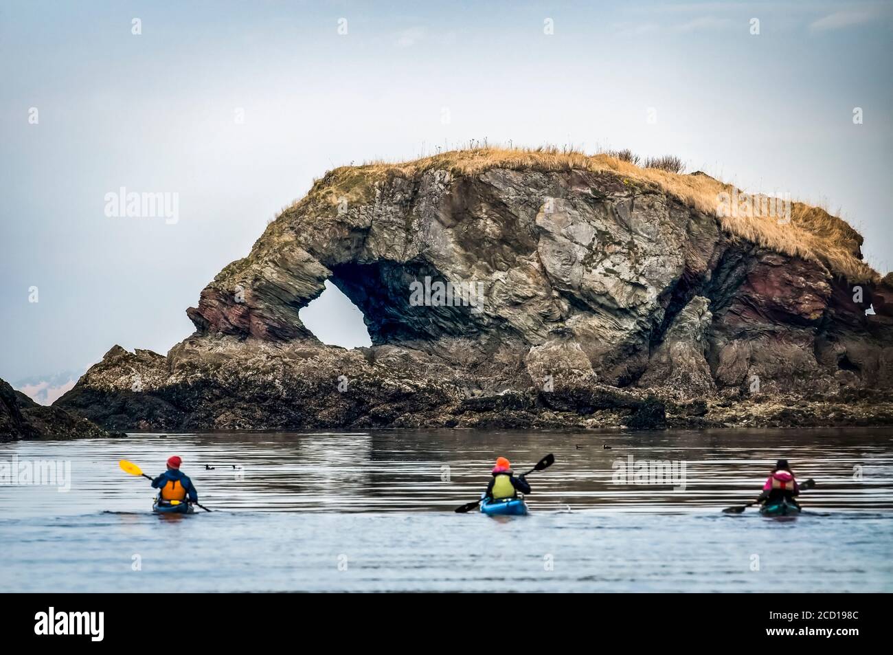 Kajakfahrer, die Seeenten sind, nähern sich während des Kachemak Bay Shorebird Festival 2013 dem Elephant Rock in Kachemak Bay. Das Festival findet in Homer... Stockfoto