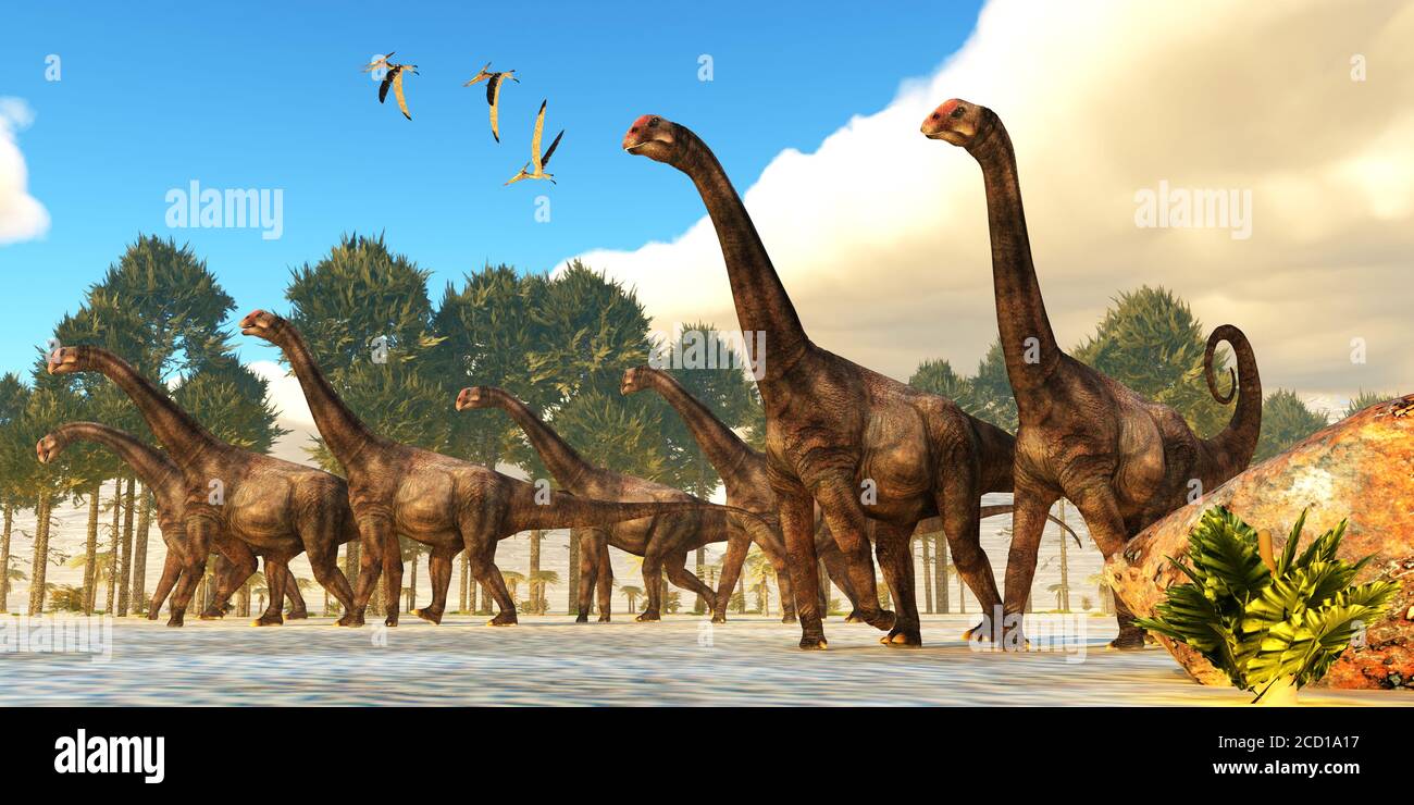 Brontomerus Herde - EIN Schwarm von Pteranodon Reptilien fliegen über eine Herde von Brontomerus Dinosaurier während der Kreidezeit. Stockfoto